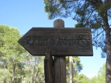 Wandern von Camp de Mar durch den Wald nach Port d’Andratx