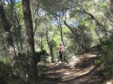 Wandern von Camp de Mar durch den Wald nach Port d’Andratx