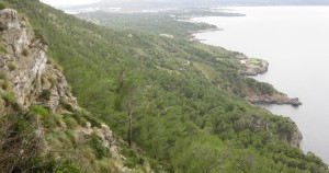 Wanderung auf Mallorca: Abseits der Massen von Formentor – Penya Rotja